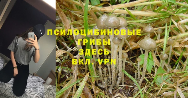 наркотики Михайловка