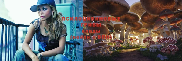 тгк Алзамай