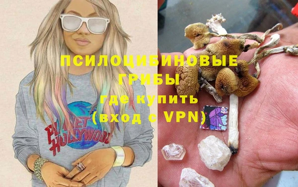 спиды Алексеевка