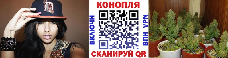 Бошки марихуана конопля купить закладку Талица
